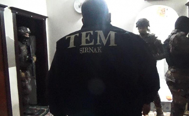 Şırnak'ta terör operasyonu: 50 gözaltı