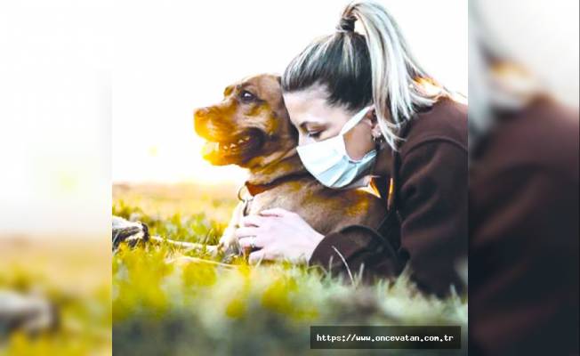 Koronovirüs köpeklerden insana geçer mi?