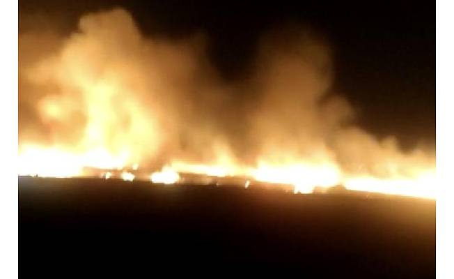 Diyarbakır'da yüzlerce dönümlük ekili alanda yangın