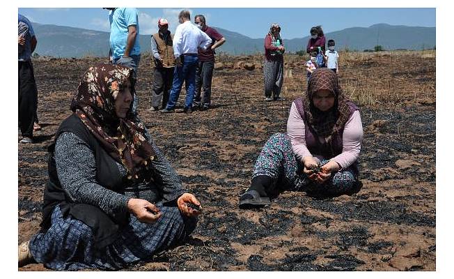 Tarlalarındaki ürünleri yanan çiftçi kadınların gözyaşı