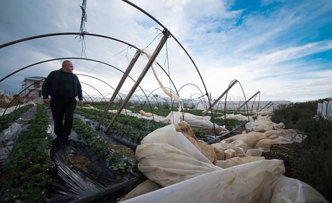 Antalya'da yağmur ve fırtınada, yaklaşık 2 bin dönüm tarım alanı zarar gördü