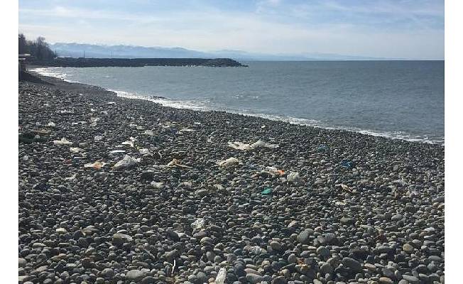 Ücretli poşetle, Karadeniz sahillerinde kirlilik azaldı