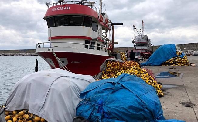 Zonguldak'ta balıkçılar, sezonu erken kapattı