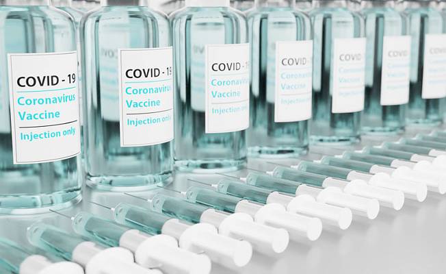 Avusturya alt parlamentosu zorunlu Kovid aşı yasasını onayladı
