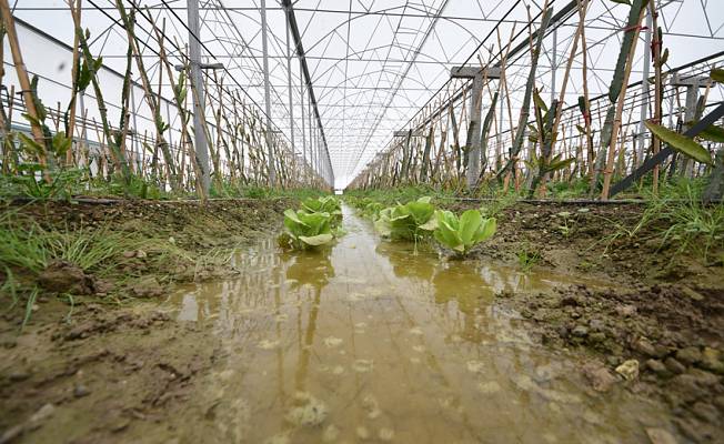 Şiddetli yağmurun vurduğu Manavgat'ta hasar tespiti
