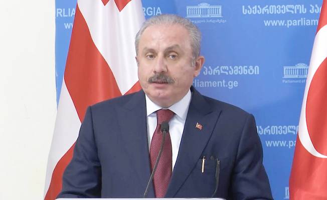 TBMM Başkanı Şentop: Türkiye-Gürcistan ilişkileri üst düzeyde devam ediyor