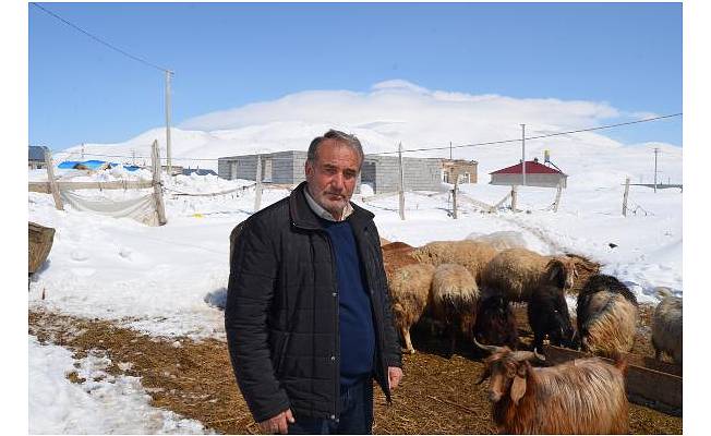 Bitlis'te kar nedeniyle besiciler zor günler geçiriyor