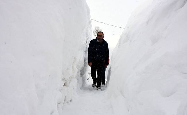 Bitlisliler evlerine kar tünellerinden ulaşıyor