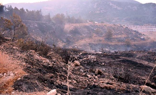 Menderes'teki orman yangını davası sanığına 5 yıl hapis