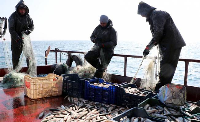 Van'da balıkçılar son ağlarını çekti, tekneler kıyıya yanaştırıldı