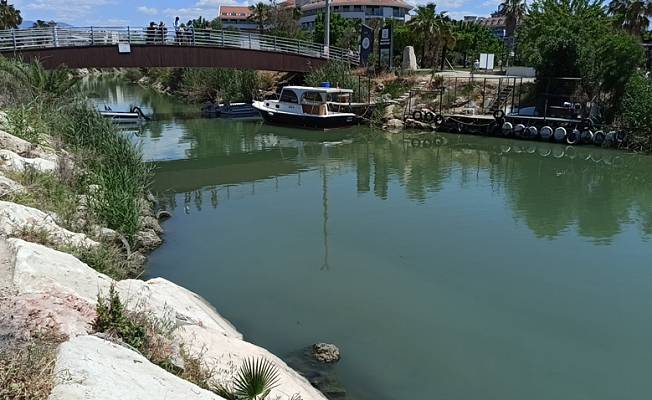 Akdeniz'de müsilaj raporu: Antalya sahilleri ve iç sular temiz