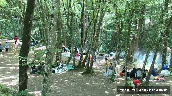 Belgrad Ormanı'na piknikçi akını