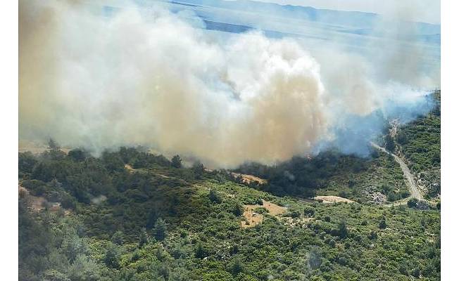 İzmir'de makilik ve orman yangını 