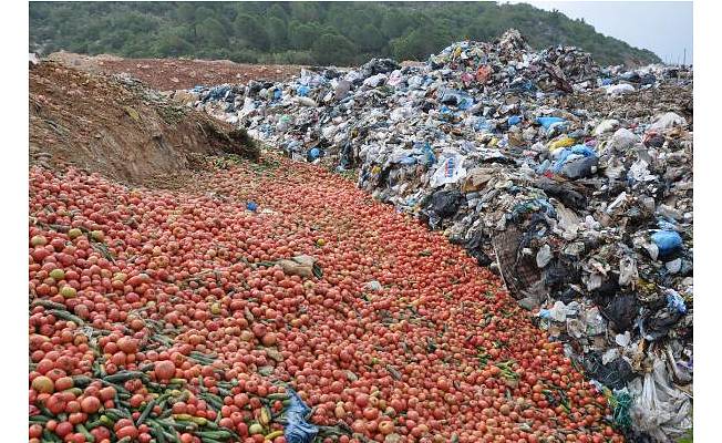 Antalya'da çöpe dökülen sebzelerle ilgili açıklama: Sofraya uygun değiller