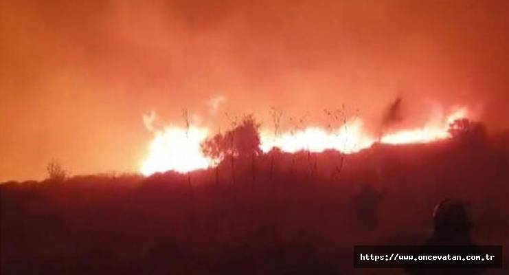 Yunanistan’da 24 saatte 53 noktada orman yangını çıktı