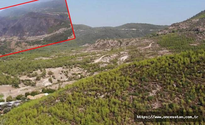 İzmir'de 5 yıl önce orman yangınında zarar gören 1200 hektar alan yeşillendi